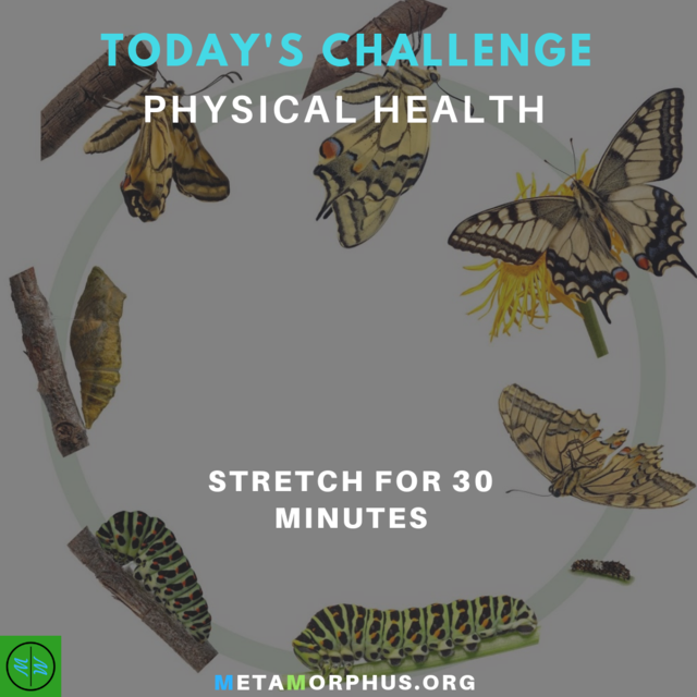 Metamorphus_org's tweet image. Today's Physical Health Challenge is to stretch for 30 minutes.

Stretching can serve as a meditative time for you. It will be a great way to merge the mind and body into one activity.

More at metamorphus.org