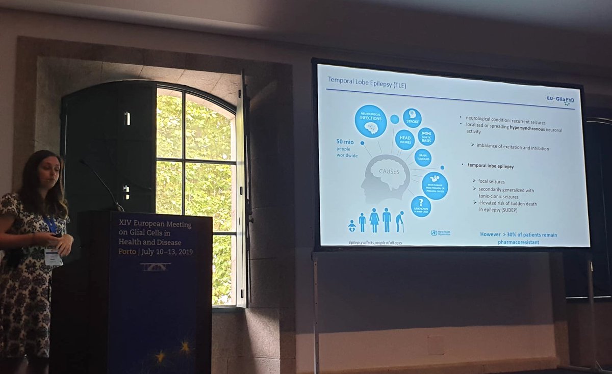 EUGliaPhD's tweet photo. Proud of all of our ESRs that organised a first Symposium by PhD students at the XIV European Meeting on Glia Cells in Health and Disease. Well done! 👏
#glia2010 #Euroglia #glia #neuroscience @epilepsyaction @MSCActions @EU_Commission https://t.co/RvUXvl1bKW