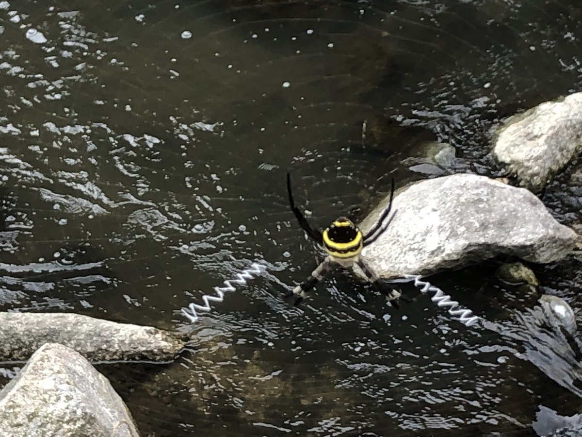 takabo77's tweet image. I visited the tomb of my ancestors.
 Then we enjoyed bathing and eating at the hot spring.

おじいちゃん、おばあちゃんの墓参りに行ってきました。

それから温泉に浸かって楽しく呑んだ。

#visittothegrave #nativeplace #kobecity #hotspring #vacation #墓参り #神戸市 #温泉 #休暇