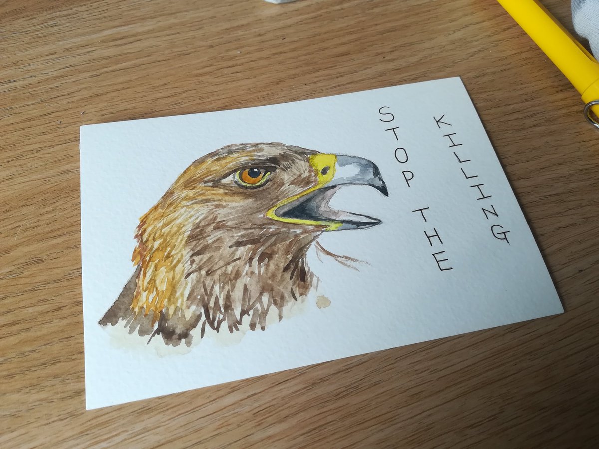 anghenn's tweet photo. I'm joining @gill__lewis and @JackieMorrisArt sending @NicolaSturgeon a message to stop the silence on raptor murder and protect these magnificent birds. @RaptorPersScot @MarkAvery @ChrisGPackham #stopraptorpersecution https://t.co/P1evslWAgw