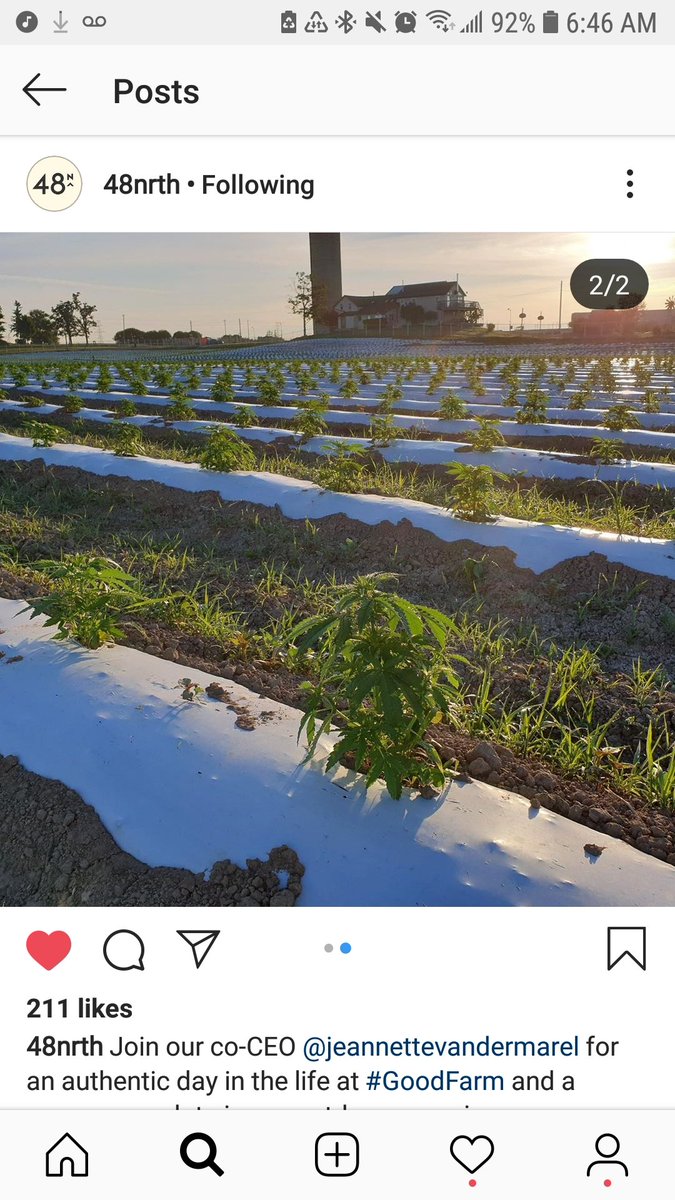 StacksTVonline's tweet photo. Check out @48Nrth growing it up in Ontario! Making web series and sh*t Proud of u! <3 follow em on insta #goodfarm #48north #cannabis https://t.co/bmzRrOFmKx