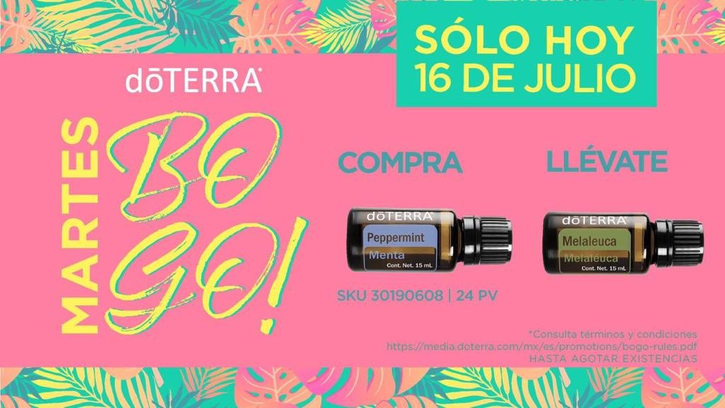 polillita's tweet photo. Primer día de BOGO 
Compra un aceite esencial y llévate unos diferente de REGALO https://t.co/qIlLb7ILOu