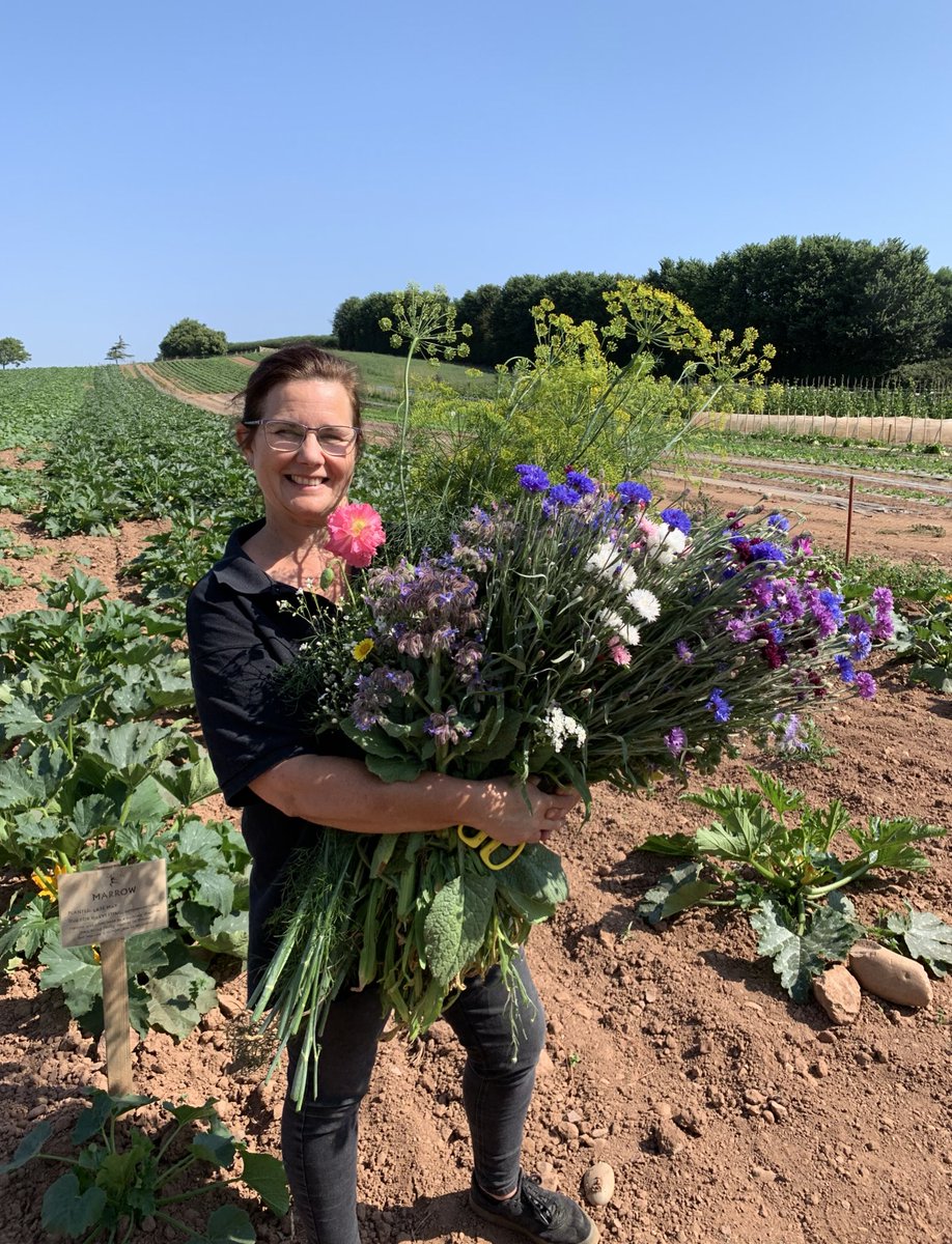 dartsfarm's tweet photo. Fresh summer flowers handpicked from our fields this morning, transformed in beautiful hand-tied bouquets by our expert florists π
#dartsfarm #farmshop #theflowershack #florists #expertflorists #flowers #summer #grownnotflown #freshfromourfields #handtied #handpicked #bouquets https://t.co/rA7YyM9sRy