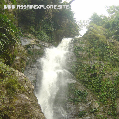 AssamExplore's tweet photo. Champawati Kunda Waterfall - Nagaon, Assam
.
.
To read full post visit https://t.co/XFehosc939
.
.
.
#champawatikunda #chapanala #Waterfall #Assam #nature #naturelovers #naturephotography #AssamExplore https://t.co/L7hlqkLkVk