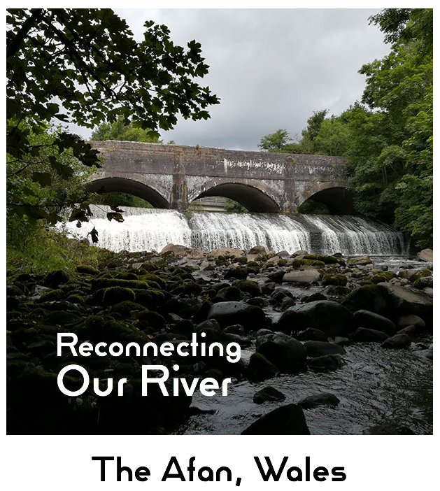 Join the world first ever complete river walk and mapping project, combining citizen science, eDNA and our Barrier Tracker App @AMBERtools and help us reconnect our rivers. They critically need it. https://reconnectingourriver.org/ A project led by us @SwanseaUni