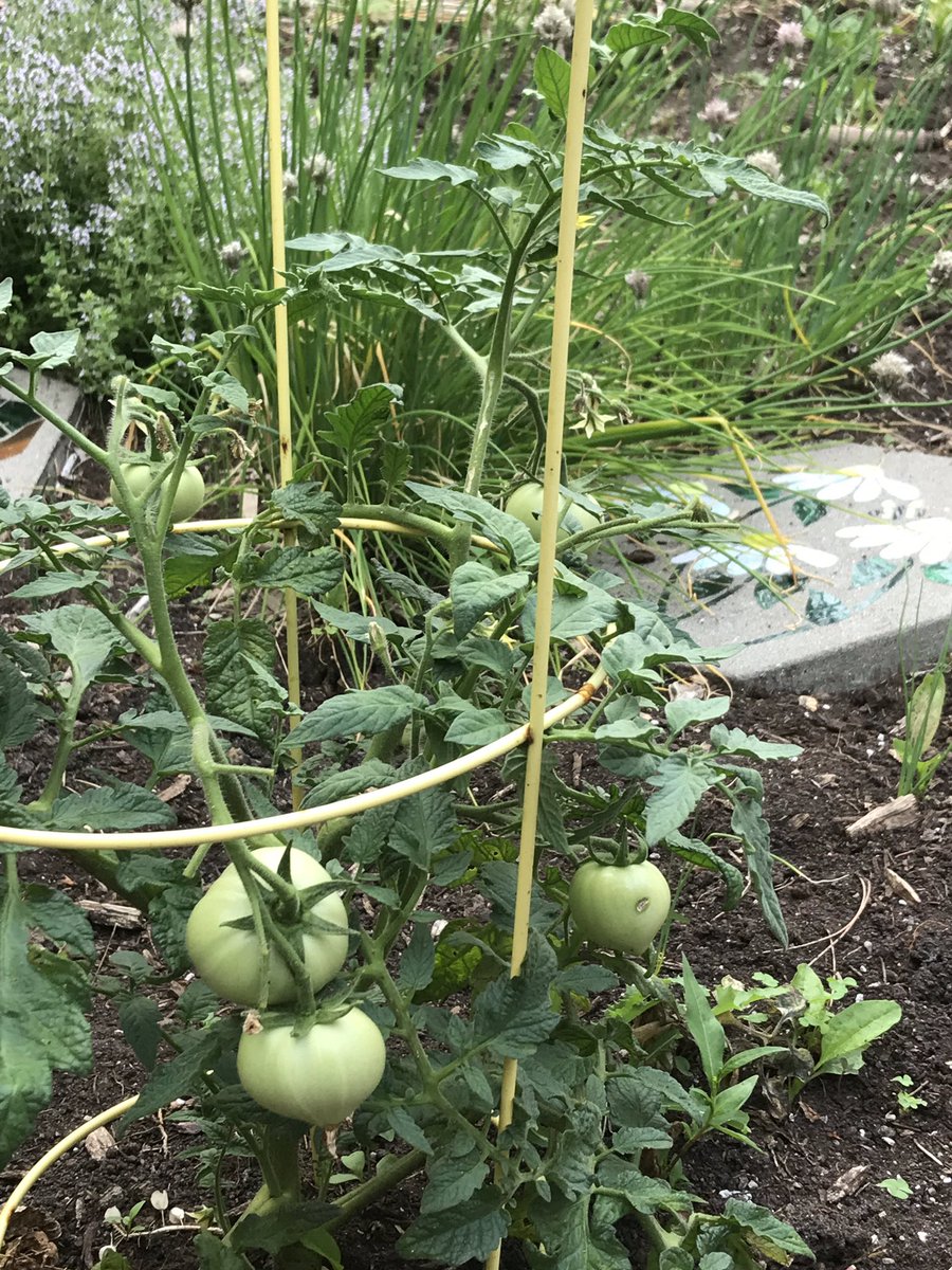 Kerry Stratton tweet media