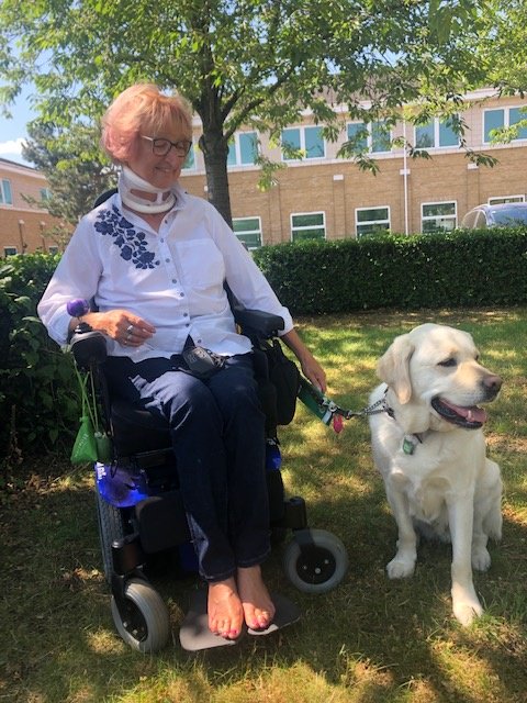 NHSHEE_SEast's tweet image. What a fantastic and moving talk today in the TV office by Sue and her therapy dog, Flint from @DogsForGoodUK  It's so amazing to hear about all they can do and the bond between Sue and Flint. Thank you so much for coming along as part of #nhsvalues week #livingthevalues