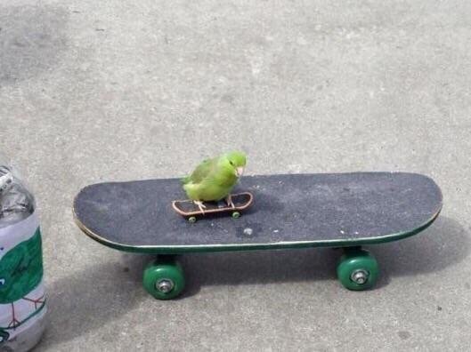 Archillect tweet media