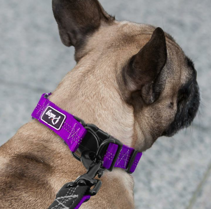 JoJosWorldStore's tweet photo. Reflective Nylon Adjustable Dog Collar and Leash Dog Lead Set🐾

Available at: https://t.co/sMGdsxMocY
_______
#dogharnessset #doglead #dogharness #dogshop #dogshoponline #onlineshoppers #onlineshop #trustedseller #onlinedogshop #freeshippingnationwide #TeamJoJosWorld https://t.co/4e4tkyhccZ