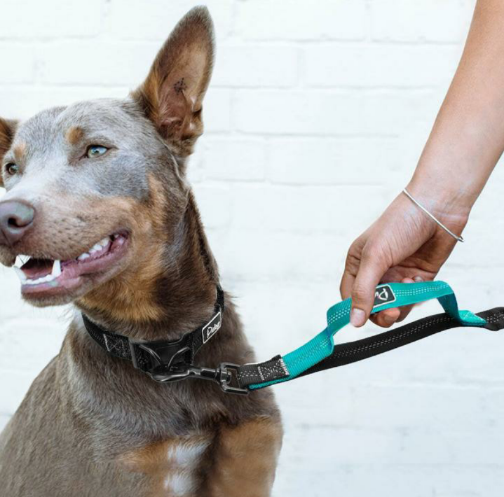 JoJosWorldStore's tweet photo. Reflective Nylon Adjustable Dog Collar and Leash Dog Lead Set🐾

Available at: https://t.co/sMGdsxMocY
_______
#dogharnessset #doglead #dogharness #dogshop #dogshoponline #onlineshoppers #onlineshop #trustedseller #onlinedogshop #freeshippingnationwide #TeamJoJosWorld https://t.co/4e4tkyhccZ