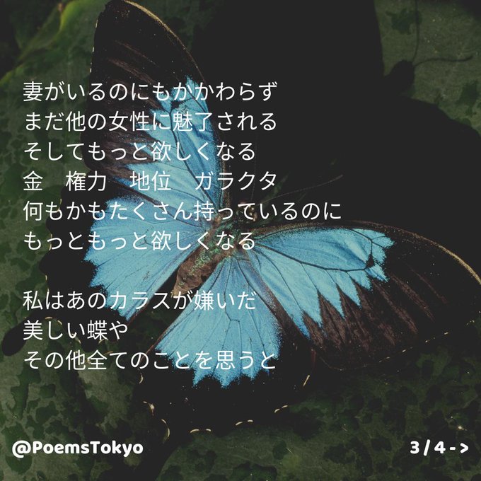 美しい蝶のtwitterイラスト検索結果 古い順 美しい蝶のtwitterイラスト検索結果 古い順