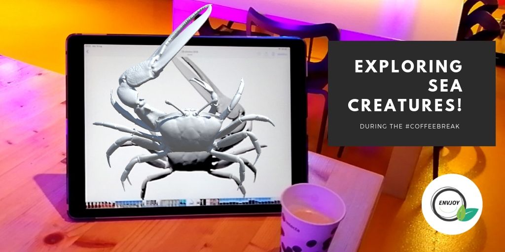 The crab 🦀 came out of the screen!!📱 Does he want my coffee? ☕️ #augmentedreality #augmented_reality #taxonomy #Envjoy