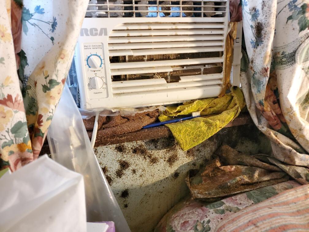 Coming soon.. August 2019! Worst case of bed bugs we have seen to date.  #bedbug