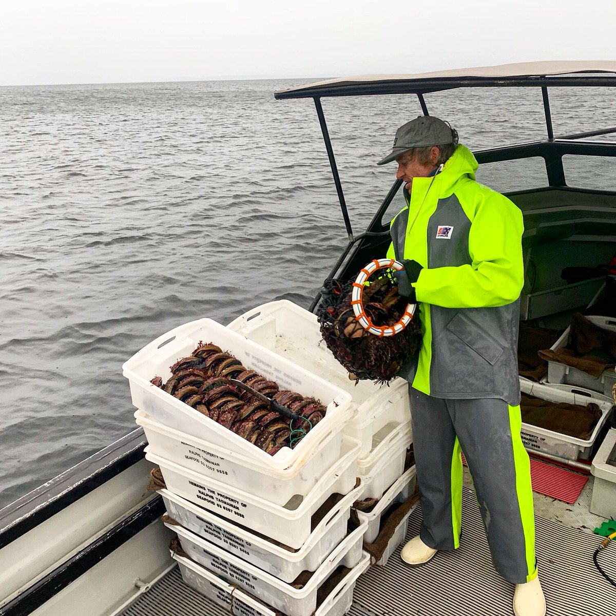 Stormline tweet media