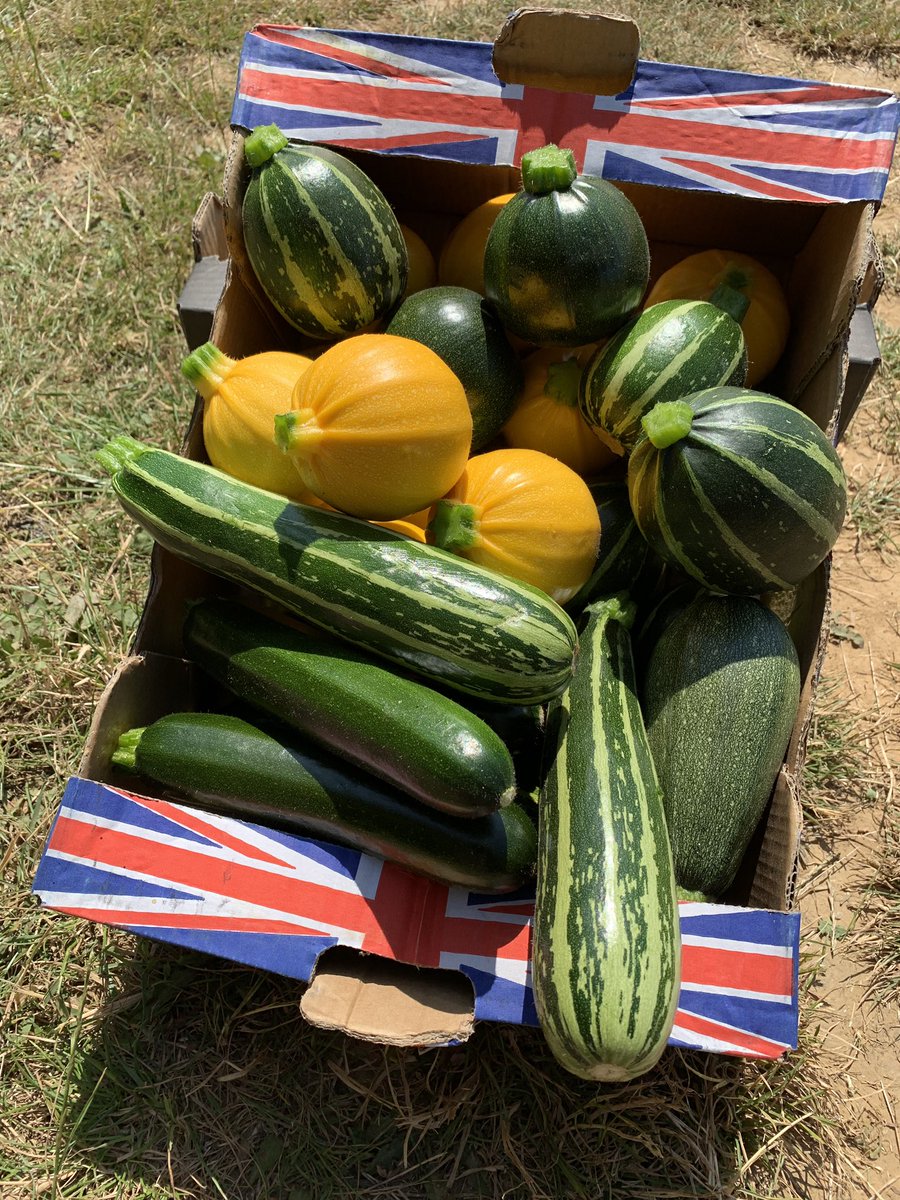 DymockFarm's tweet photo. Fresh seasonal local produce .. that’s exactly what you need .. #dymockfarm   #freshproduce #buyseasonal https://t.co/7e5GPwI6Jm