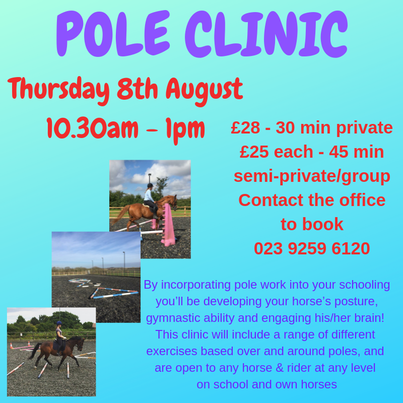 CatheringtonEC's tweet photo. This clinic will include a range of different exercises based over and around poles, and are open to any horse &amp; rider at any level.

£28 for a 30 minute private
£25 each for a 45 minute semi-private/group

To book please contact the office - 023 9259 6120 https://t.co/ZSo1yBbto7