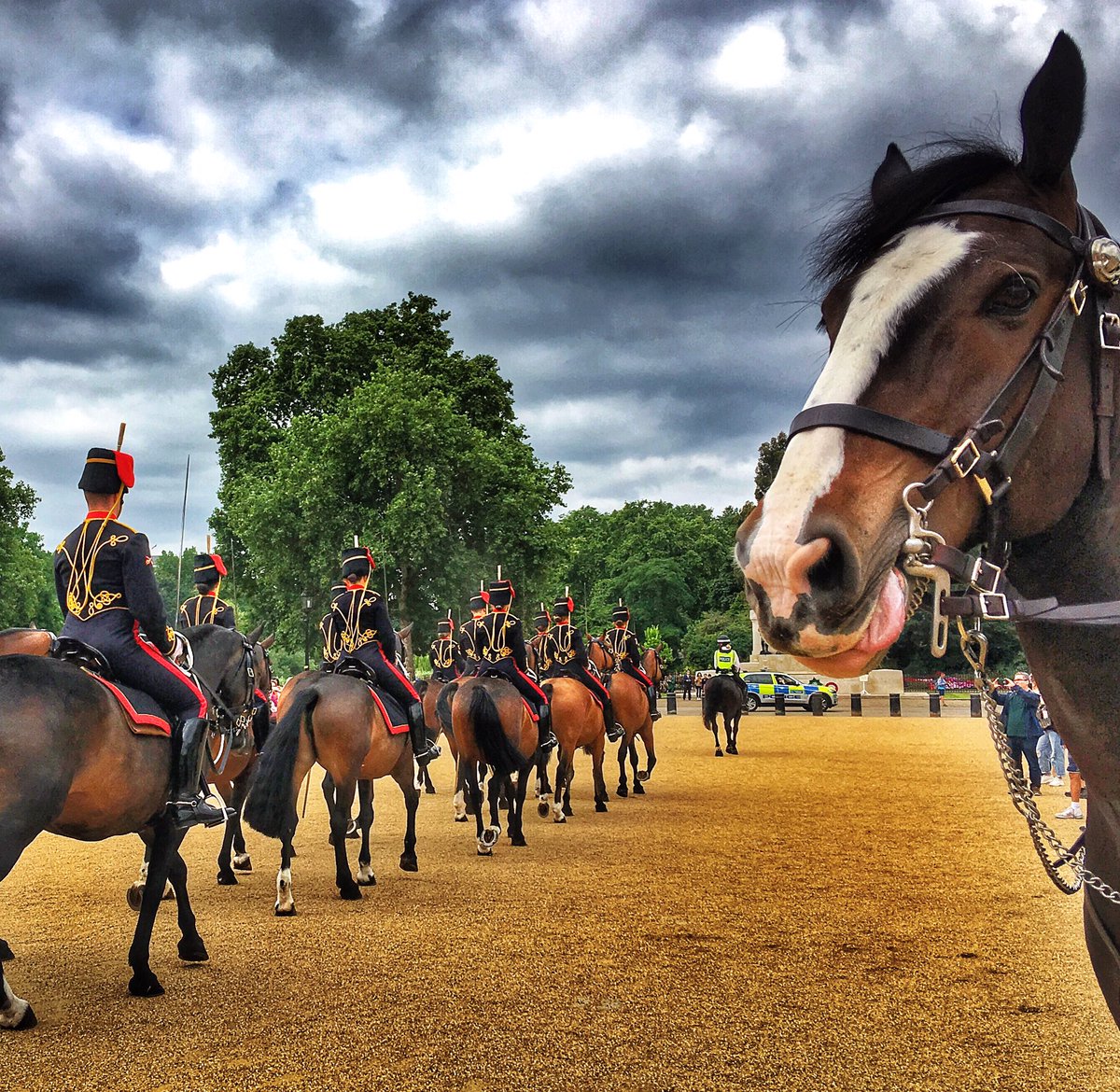 Photobombing changing the guard!
#london #londonlife #lovelondon  #timeout #MetroLDN #visitlondon #thisislondon #Mylondon  #londonislovinit #thelondonlifeinc #OutInLondon #uk #london4all  #changingtheguard  #horseguardsparade #kingstroop  #metpolice #horse #equine #policehorse