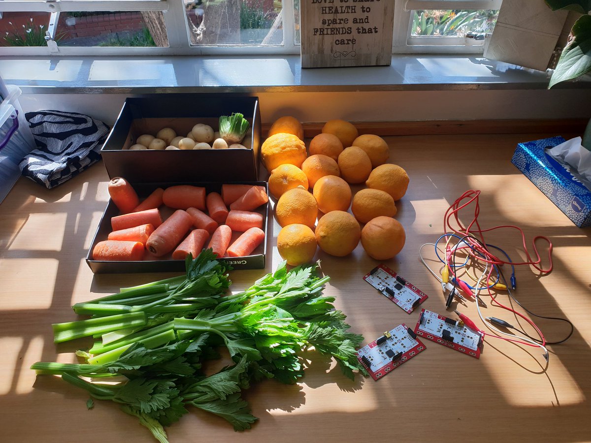 Claudannmul's tweet photo. Going to have some musical vegetable fun with the Makey Makeys today #RedhillRobotics @makeymakey https://t.co/wCENAPUC1O