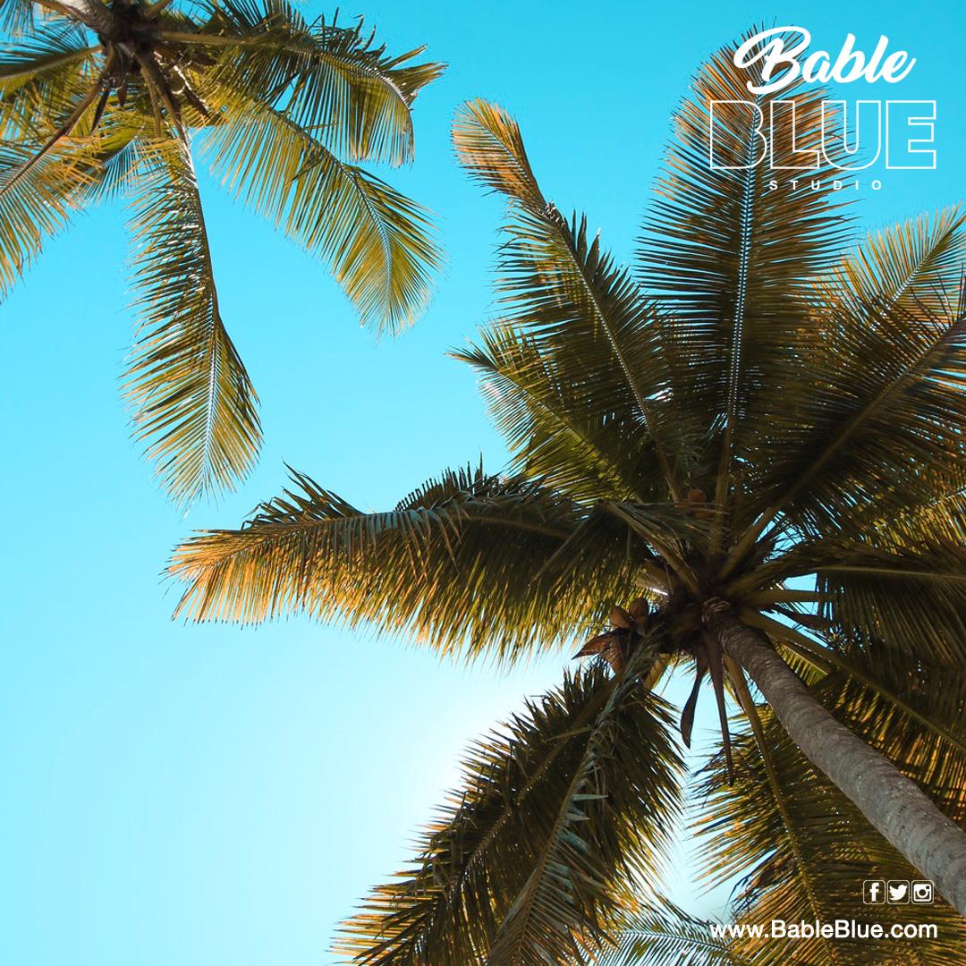 BableBlueStudio's tweet image. The process of recording lyrics is pretty interesting. Musicians listen to a song and hear where and when it's appropriate to add vocals. Harmonizing is one way to add depth to a song. What are you waiting for? No time like the present! bableblue.com