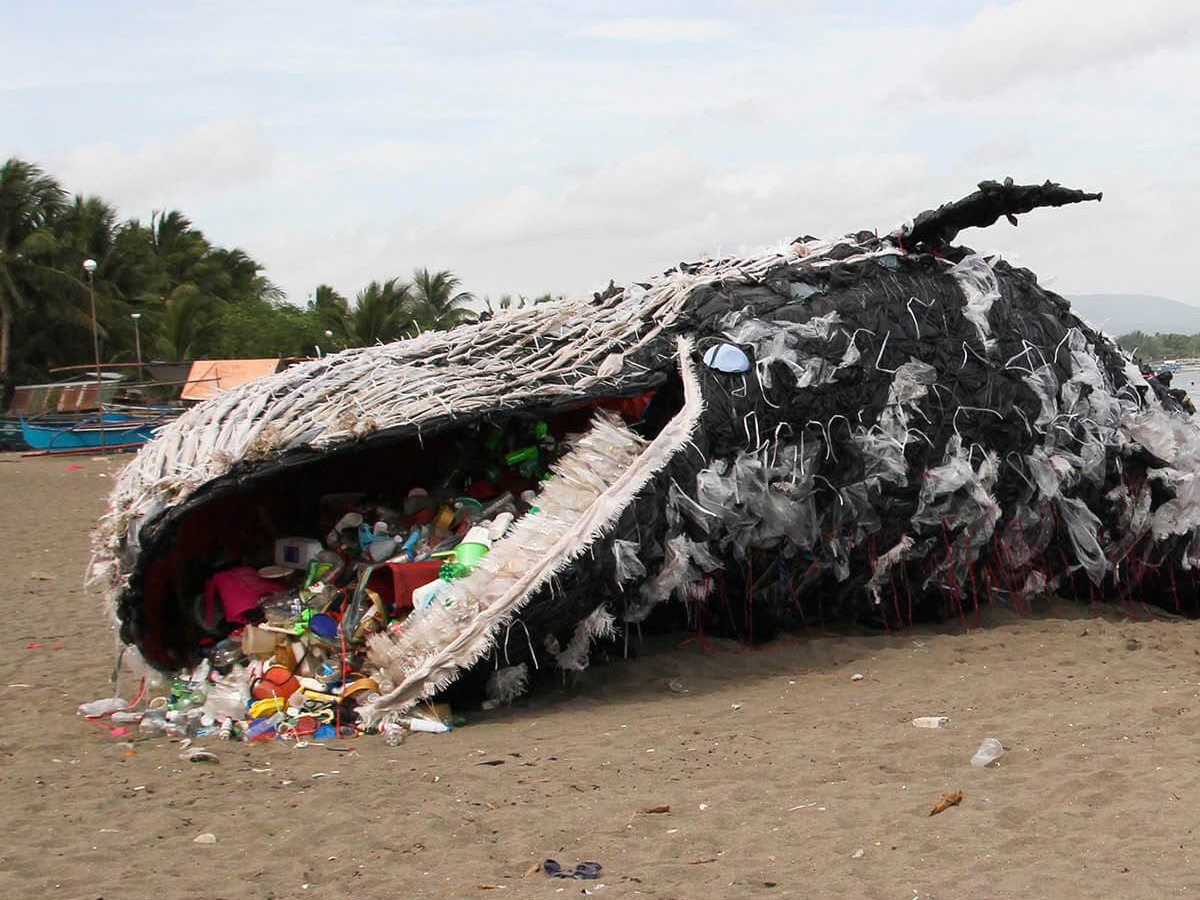 GTAccreditation's tweet photo. Join the battle against  plastic and help protect our #Oceans from decimation #sustainable #tourism https://t.co/EohW7wKyHo