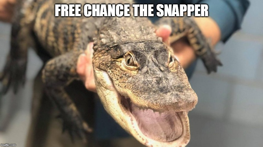triggercritic tweet picture