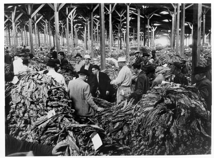 tcalderAVL's tweet photo. Asheville Archives: Tobacco and the Great Depression https://t.co/j7HzFblGgD #avlhistory #avlnews #tuesdayhistory #wnc #asheville #localmatters #mountainxpress https://t.co/BHDYI99UKG