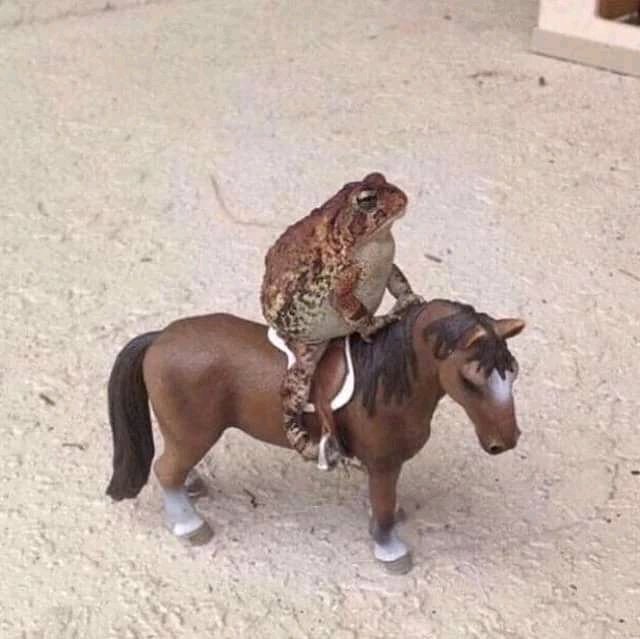 Foda que ela é linda e eu só sou Sapo No Cavalo