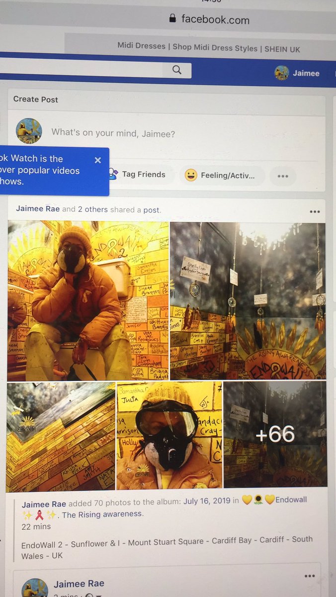 Jaimee Rae - EndoWall - The Rising Awareness tweet media