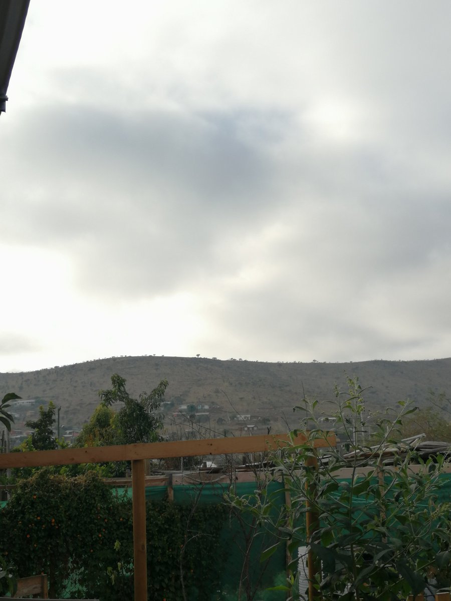 britanicka's tweet photo. #preguntaleamichelle desde Punitaqui IV región @Bienvenidos13 @TonkaTP https://t.co/GOzzVRjqLm