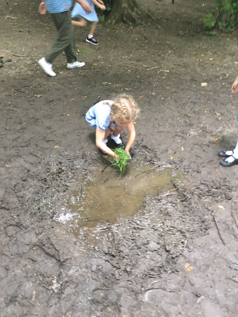 Year2 are having the best time at Lyme Park! Wild art mandalas and forest creatures 🖼 🌳 🦔