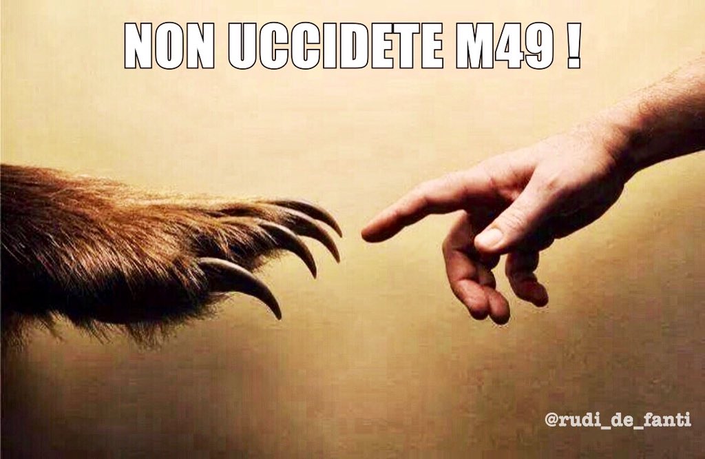 Rita Dalla Chiesa Male Non Fare Paura Non Avere Iostoconlorso T Co Dkycvycr4f