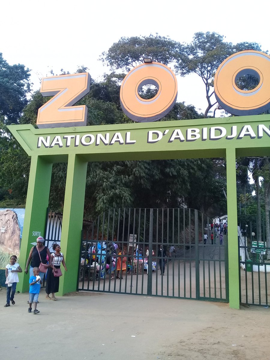 PreciousControl's tweet image. #Ellownkiffnobeatchallenge
J'veux faire challenge sur le Ministre HAMED BAKAYOKO.. mais les gens là on déjà trop pris avec Vieu là.. @didierdrogba même n'a plus de montres .. @asalfomagic aussi à été est trop gentil. c'pas la peine.. #Cote_dIvoire is the best💪