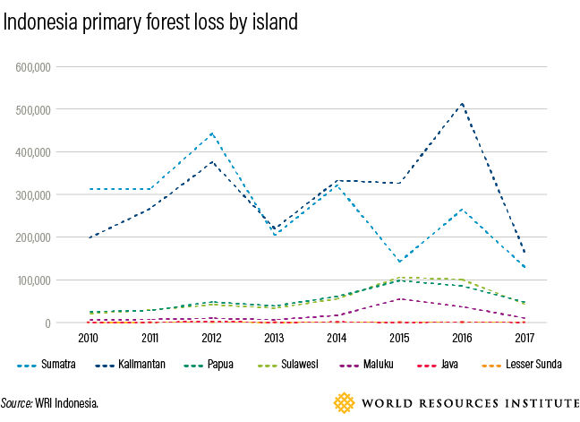 Dari grafik yg dibuat WRI ini, "tree cover loss" memang terjadinya banyak di Sumatera dan Kalimantan. Walau bbrp tahun belakangan hutan Papua juga mulai dibuldozer.