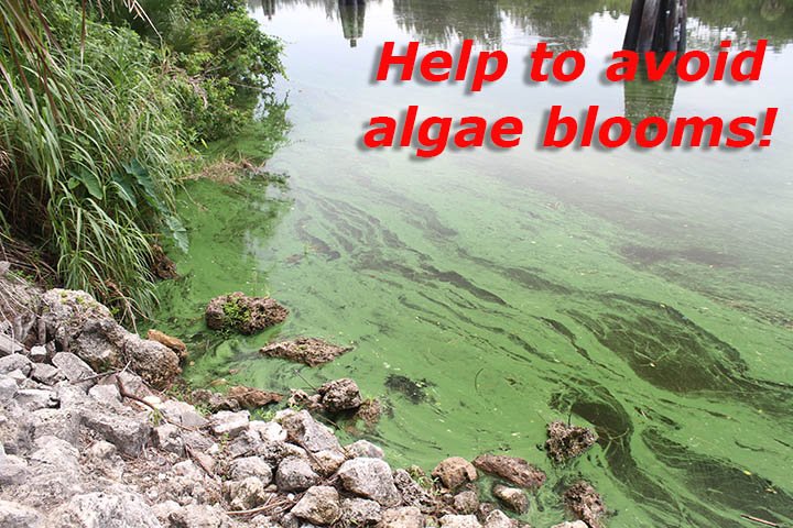 savethemanatee's tweet image. Our waterways are experiencing nutrient pollution from fertilizer &amp;amp; nitrogen sources, which may cause algae blooms.
#DailyTip:
Don’t blow leaves/clippings into the road or any body of water, leave them on your lawn. They can supply up to 50% of the nitrogen that your grass needs.
