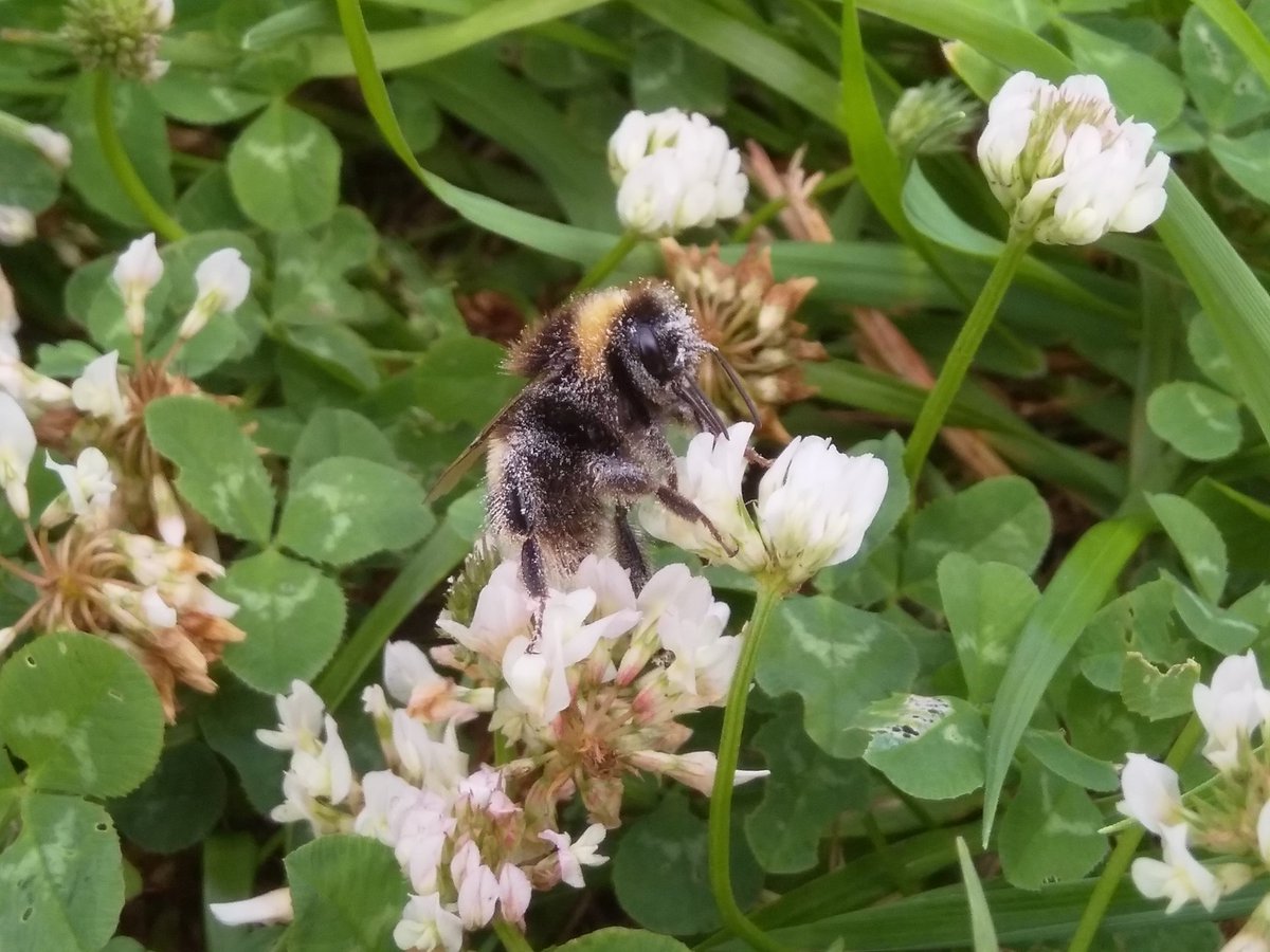 We will make these guided walks regular events. People value and need this.