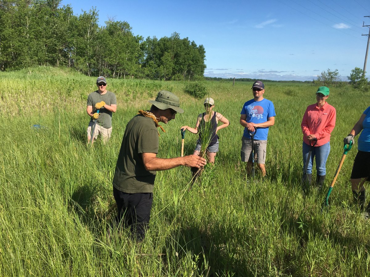 IISD Water tweet media