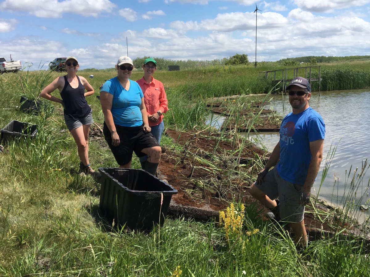 IISD Water tweet media