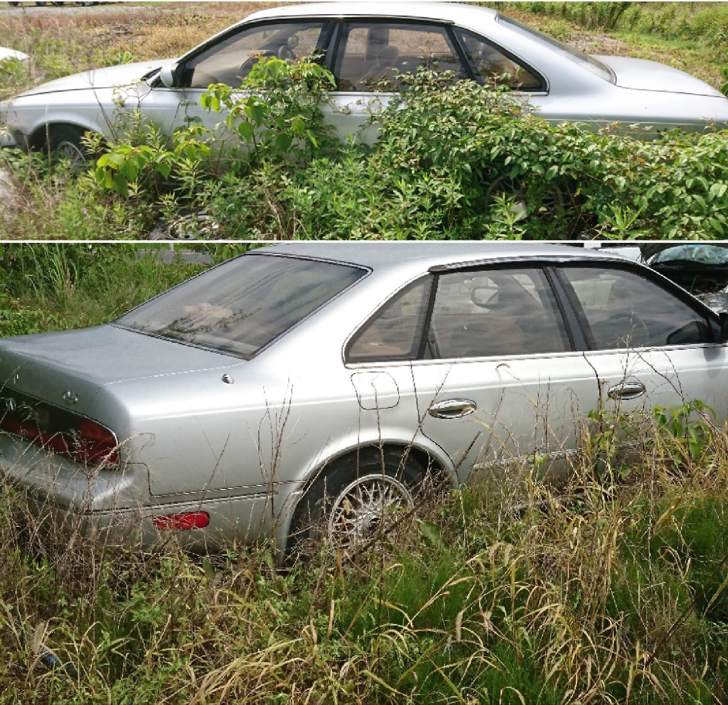 Twitter এ Kp61 最近見なくなりました 日産高級車 インフィニティq45 Infinitiq45 は 日産自動車 の高級車部門である インフィニティ でかつて販売されていた 大型 高級セダン 日産インフィニティ ｑ45 草ヒロ T Co Wdje1m6eqk