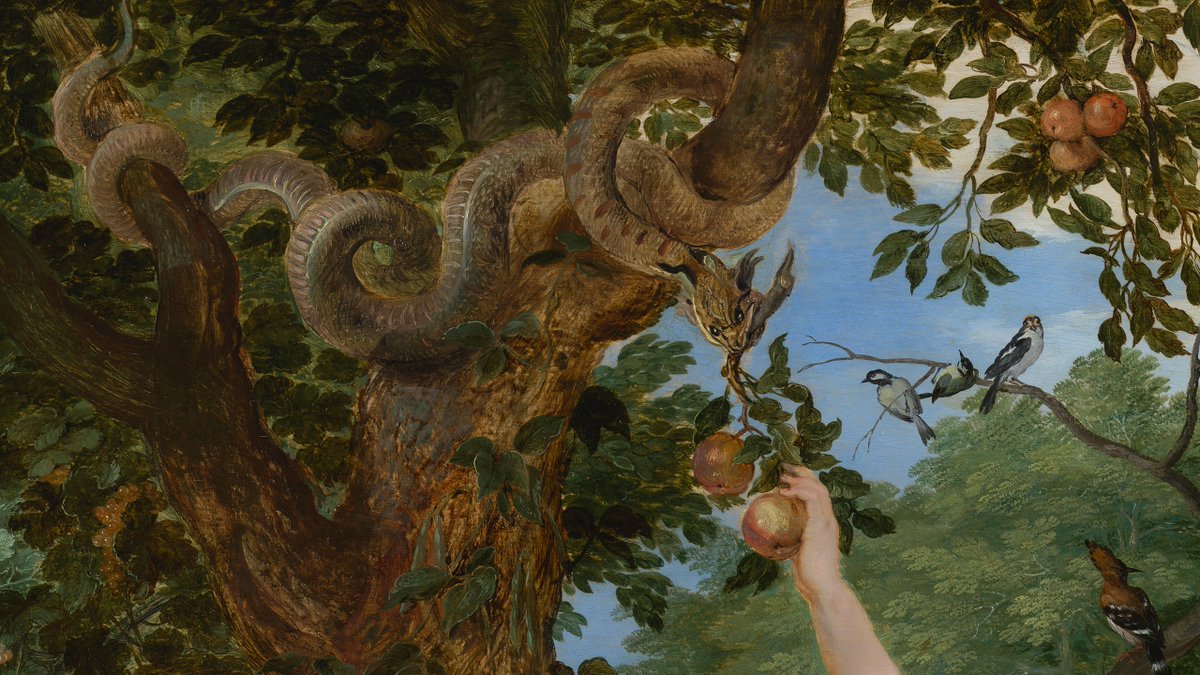 Mauritshuis On Twitter It S Worldsnakeday Today This