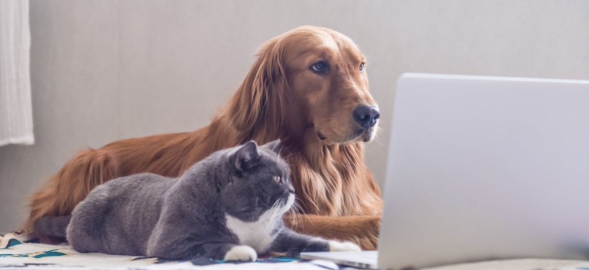 Picking the right digital marketing channels for your business. The final suggestion is key... let data guide you! bit.ly/SelectingDigit… #DigitalMarketing #marketing #marketingstrategy #marketingdigital