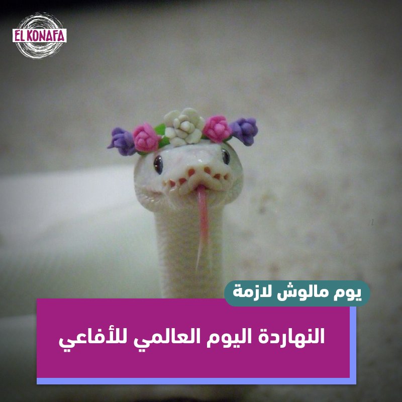 ElKonafa's tweet photo. بيمنشن ��هل أبوه*

#خمسة_فرفشة #الكنافة https://t.co/4ZiCaZBHXP