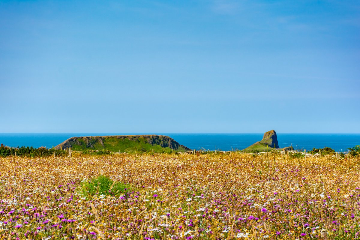 Richard Moult tweet media