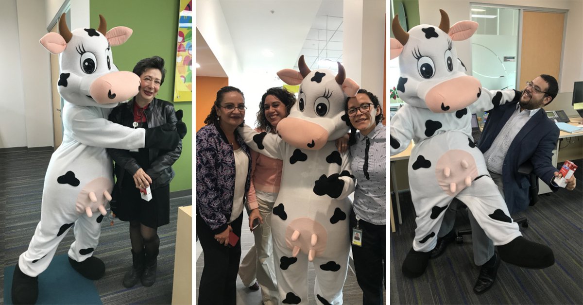 msdcareers's tweet photo. The #MSDMexico office had a very special visitor earlier this month. Lola the Cow stopped by the office to gift milkshakes and chocolates to all our team members. A fun way to invite our colleagues to participate in Animal Health’s very first Milk Week! #AtMSDImInspired #MSDLatAm https://t.co/jJTuM7Fqnp
