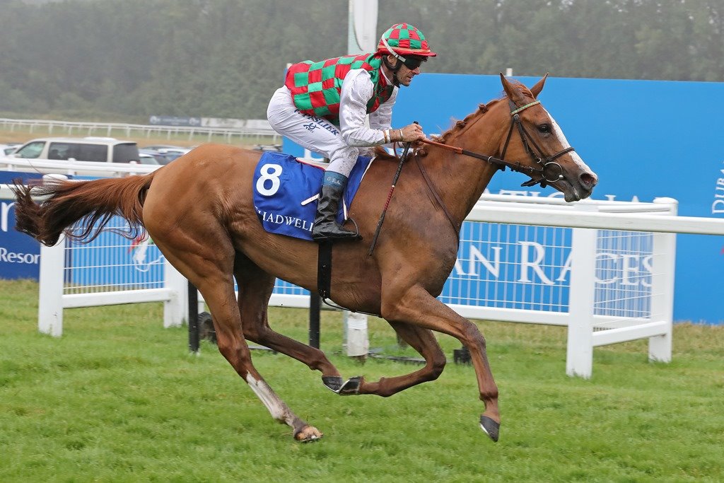 DIA_Races's tweet photo. #DIARday2019 - discover the races
5th race is the Shadwell Arabian Stallions Hatta Int'l Stakes at 4.20pm (tbc).
Gr.1 PA, 1m2f, for 4yos & up, fillies & mares only.
2018 winner: JOUDH
trainer: Didier Guillemin
jockey: Olivier Peslier
#WhoWillWinIn2019? #ArabianRacing https://t.co/RcjtG52uZj