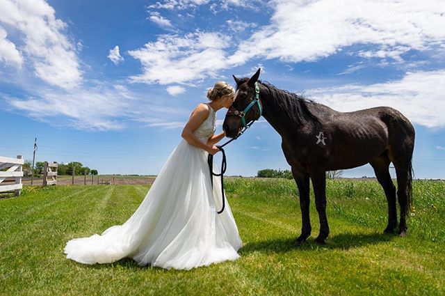 The Brides Horse
.
.
.
.
.
.
#herheart #bride #weddingday #equestrian #horse #cowgirl #rural #weddingdress #minnesotaphotographer #minnesotabride #minnesotawedding #photographyeveryday #canon5dmarkiv #canon #epic #adventure #zenmoment