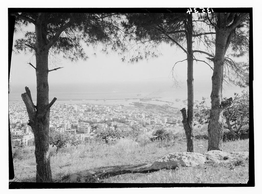 karmel's tweet photo. No celebro el santoral pero entiendo quienes sí lo hacen, para ellos quisiera explicarles que mi nombre, Carmel, es de origen palestino pues me lo puso mi padre nacido en Haifa en 1943 https://t.co/Ev37WckoXc #freePalestine #freeHaifa https://t.co/BhEeOJ97Hn