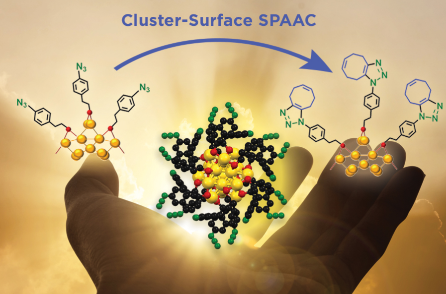 A clickable azide-functionalized Au25 nanocluster platform provides golden opportunities for interfacial surface modifications. <a href="/westernuchem/">Chemistry at Western</a> @WorkentinChem <a href="/CorriganLab/">John F Corrigan</a> #JustAccepted acspubs.co/5dOG30p8BqP