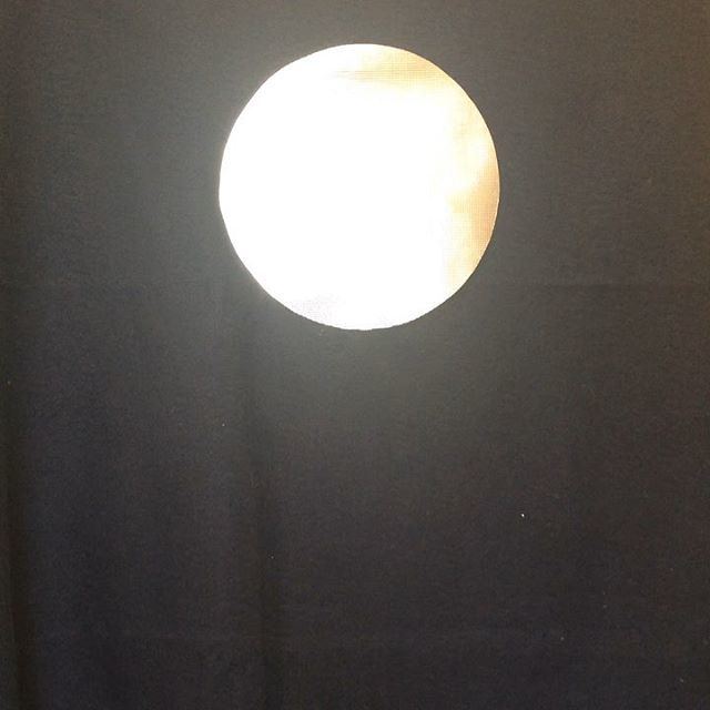 SpfldMassLib's tweet image. PIGEON PARTY! The Pigeon is celebrating the anniversary of Apollo 11, and YOU should come celebrate the Pigeon! 12-2, Central Library Community Room 🐦 #springfieldcitylibrary #kidsactivities #mowillems #apollo11 ift.tt/2lgv4Qw