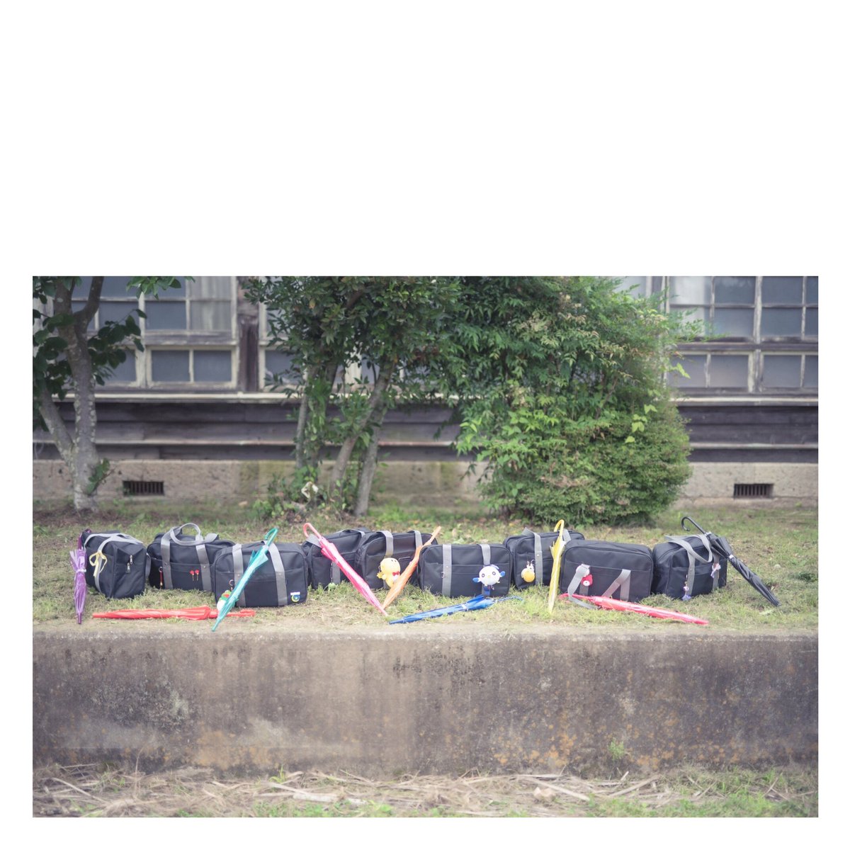 【コス写／ラ！サ‼︎】
rainy season

🐬きち
✨えじこ
♦️無々子
🍊アスマ
⚓️とうあ
🌸雨野シロウ
💮こめり
🍭りこな
😈水菜
📸市倉あおい、音紗、ハニー

#令和元年Aqoursの夏0707