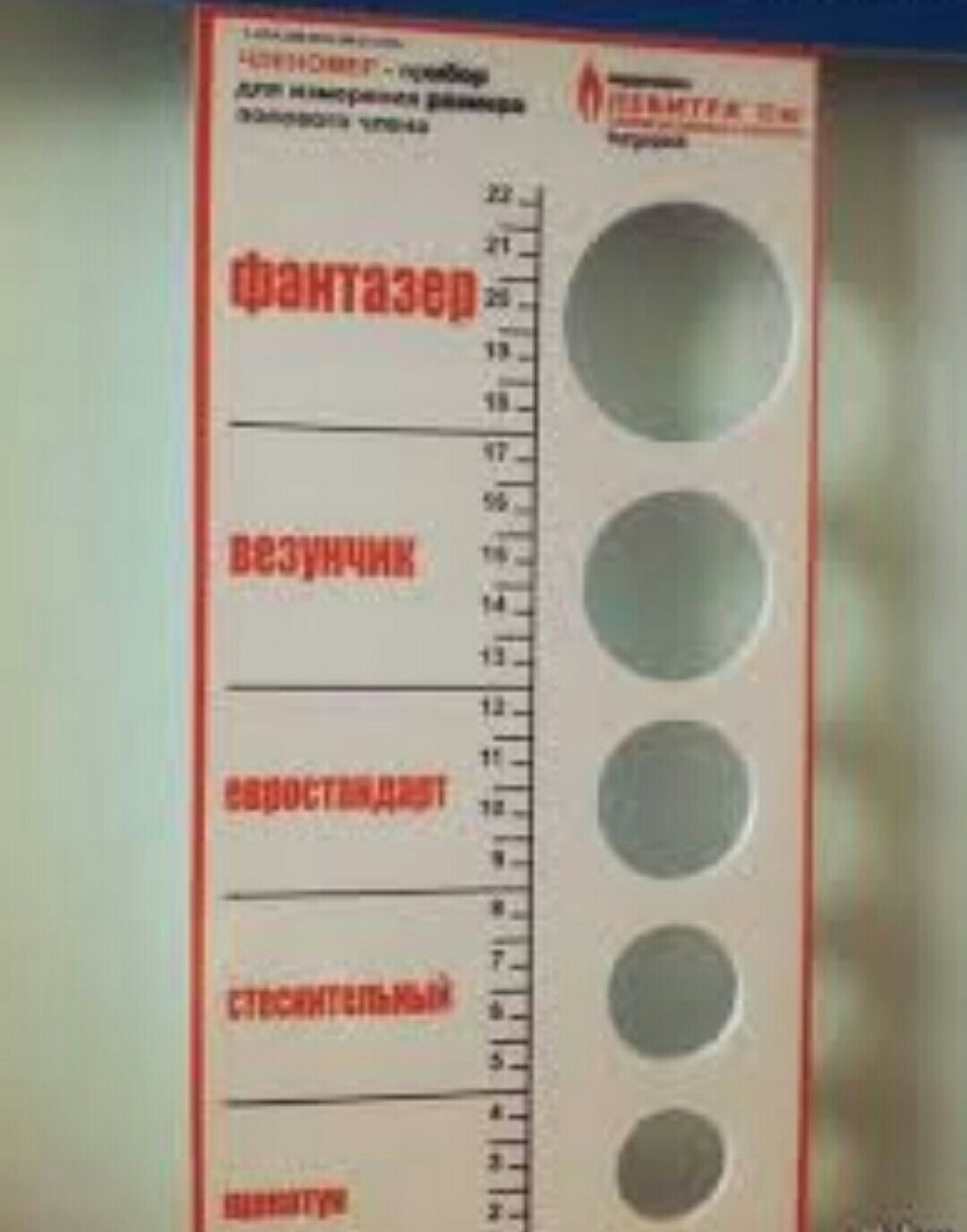 нормальный размер члена для женщин